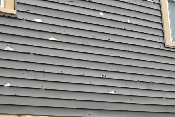 Best Demolition Debris Removal  in La Porte, TX